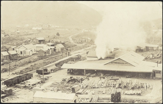 View of Ellis and Burnand Ltd sawmill, Mangapehi