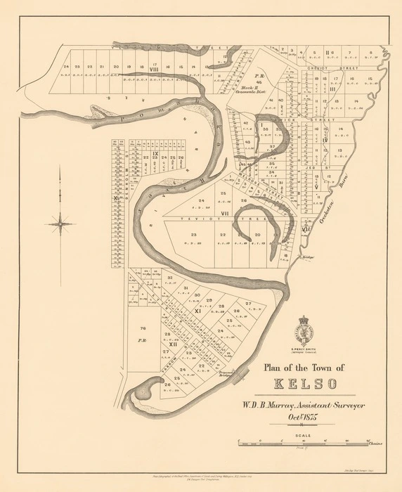 Plan of the town of Kelso / W.D.B. Murray, assistant surveyor, Octr. 1875 : F.W. Flanagan, chief draughtsman.