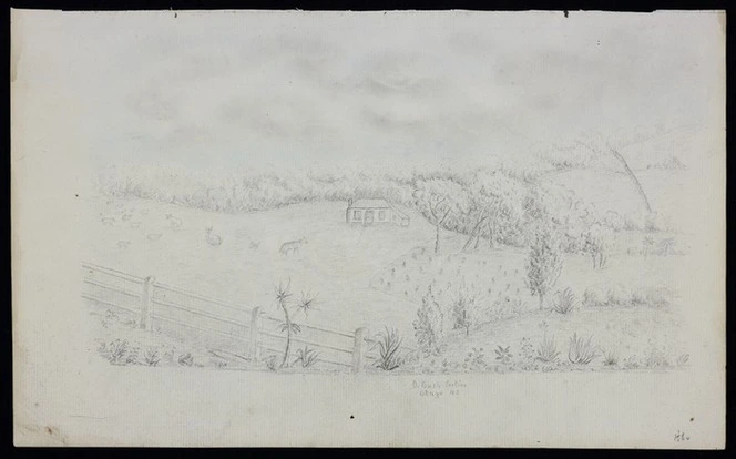 Artist unknown :A bush section, Otago, NZ. 1860