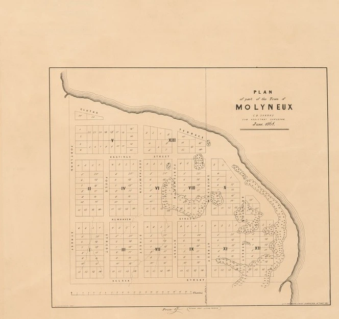 Plan of part of the town of Molyneux [electronic resource] / [surveyed by] C.B. Shanks.