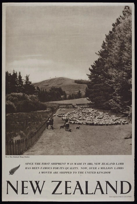 [New Zealand Government Tourist Department] :New Zealand. On a New Zealand sheep station. Since the first shipment was made in 1882, New Zealand lamb has been famous for its quality. Now, over a million lambs a month are shipped to the United Kingdom. Printed in England by Sun Printers Ltd., London and Watford [1940s]