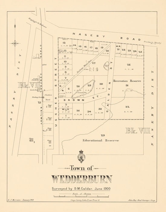 Town of Wedderburn [electronic resource] / surveyed by D.M. Calder, June 1900 : A.J. Morrison, January 1901 ; John Hay Chief surveyor otago.