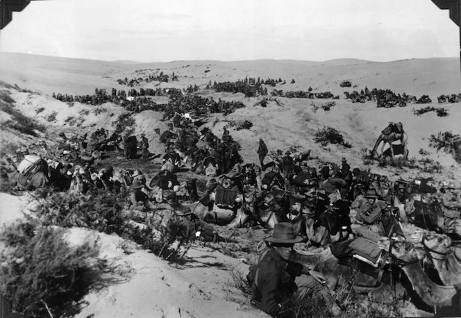 The Imperial Camel Corps: A halt on the march