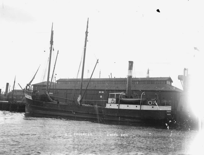 Ship Progress, Wellington Harbour