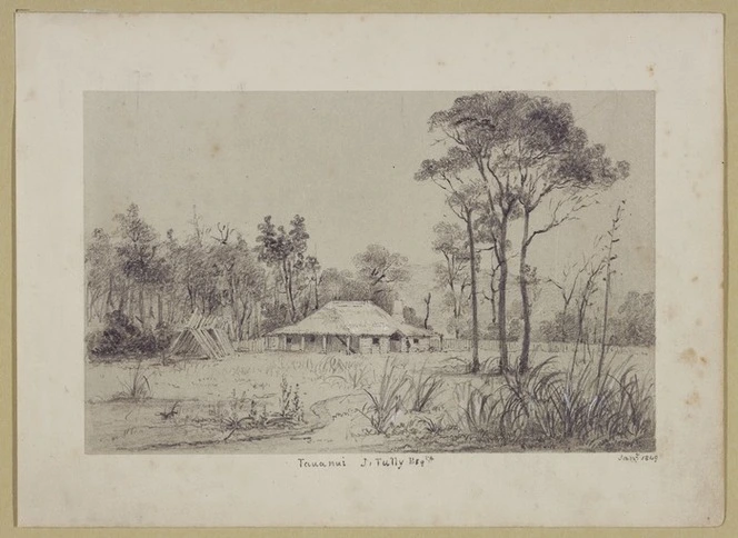 [Smith, William Mein] 1799-1869 :Tauanui. J. Tully Esq. Jan. 1849