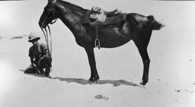 A soldier and his horse, Egypt, 1915