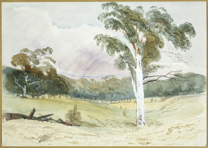 [Fox, William] 1812-1893 :Gum trees at Wangolere S. Australia. [1865?]