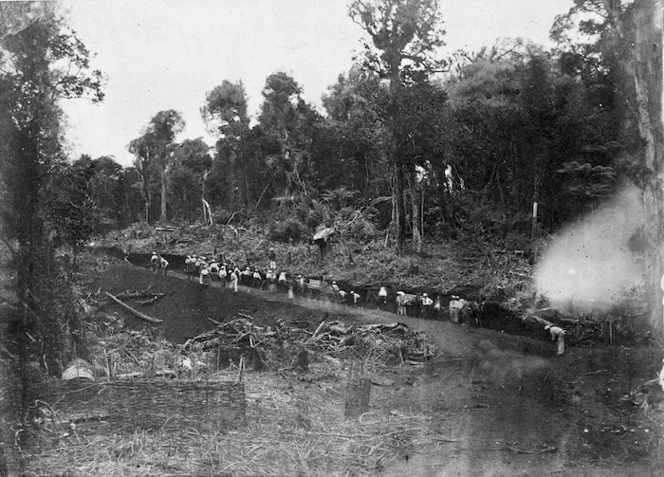 Temple, William fl 1863:Photograph of a road in Pokeno