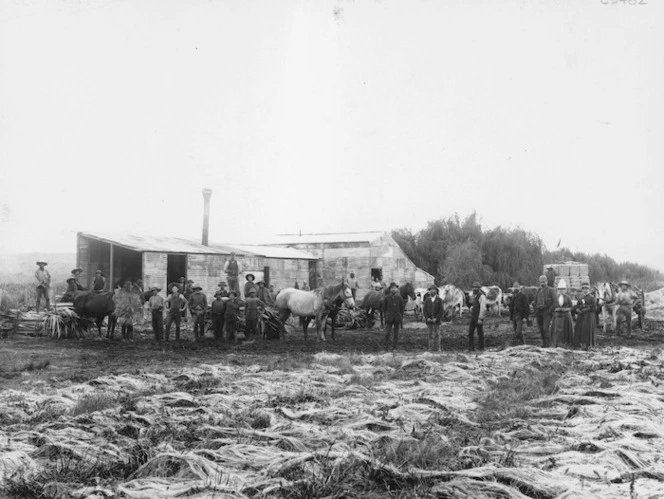 Group at the flax mill, Whakaki