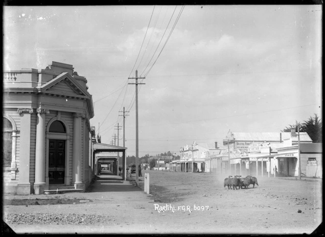 Seddon Street, Raetihi