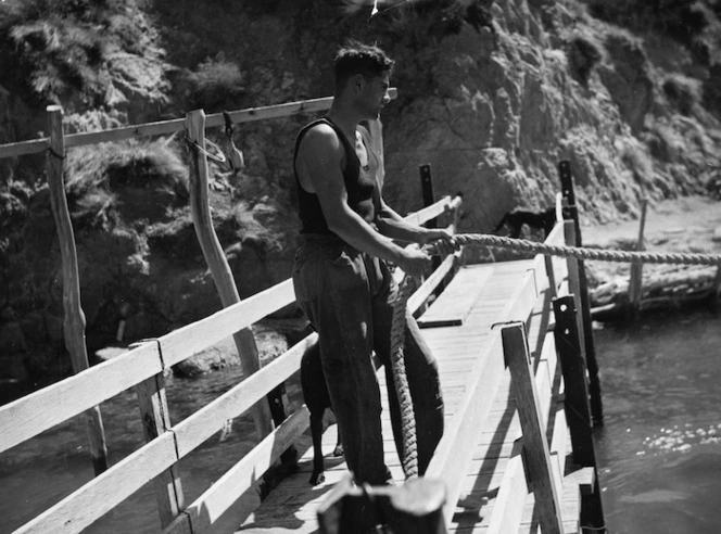 Unidentified man holding the rope of the Queen Charlotte Sound mail launch at East Bay, Arapawa Island