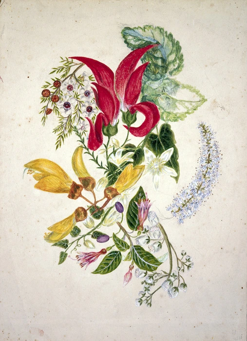 Featon, Sarah Ann 1847 or 1848-1927 :[Composite picture of flowers, New Zealand. ca 1890]