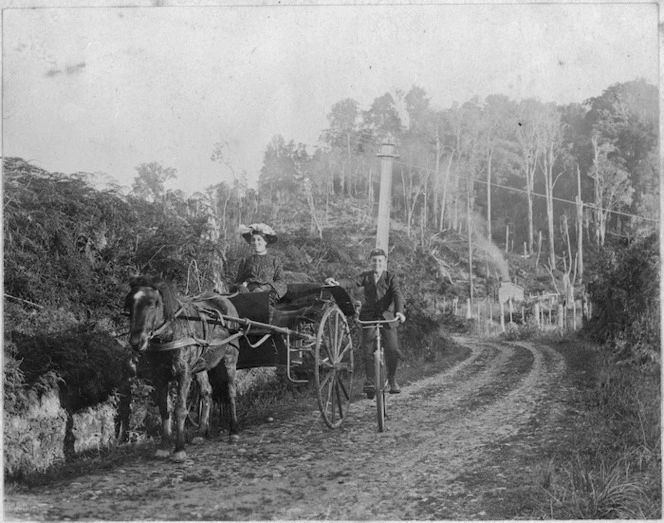 Woman in a horse drawn carriage and boy on a bicycle