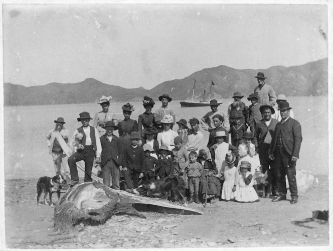 Group alongside a whales head, at Te Awaiti beach