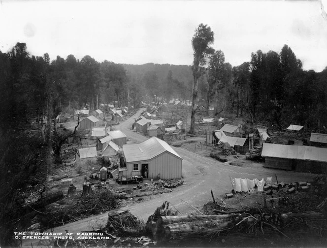 Spencer, Charles S (Photographer) : Raurimu township