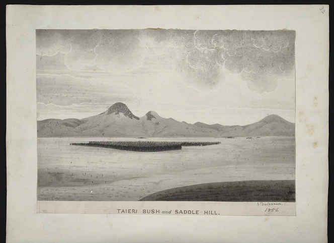 [Buchanan, John] 1819-1898 :Taieri bush and Saddle Hill. 1856