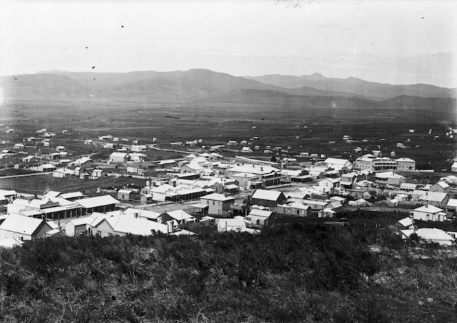 View looking over the township of Waihi