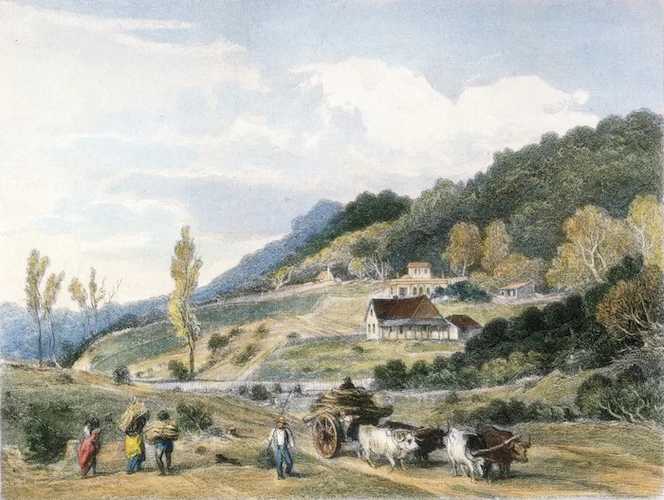 [Brees, Samuel Charles] 1810-1865 :Tinakori Road, Wellington. [Plate 20, no. 60]. Drawn by S C Brees. Engraved by Henry Melville. [London, 1847].