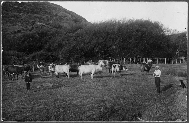 Henry Barnes and his sons Ernest and Leslie, Terawhiti Station