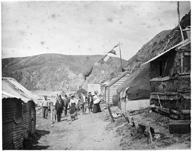 Group and dwellings alongside Ohariu Bay, Makara, Wellington