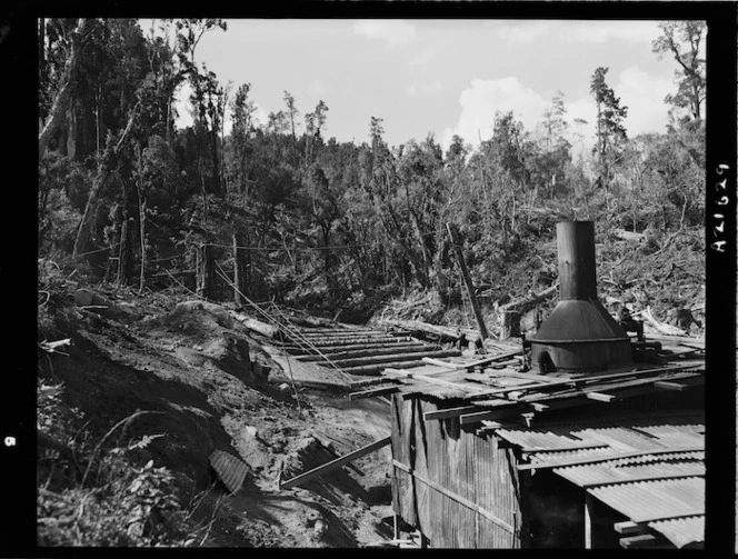 Logs being hauled to the skids by donkey engine, at Maroa - Photograph taken by E Woollett