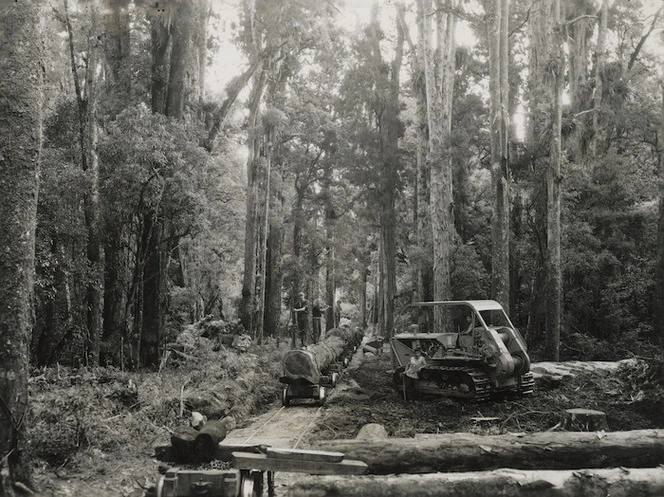 Timber transportation, Pukemako bush, east of Mangapehi, Waikato