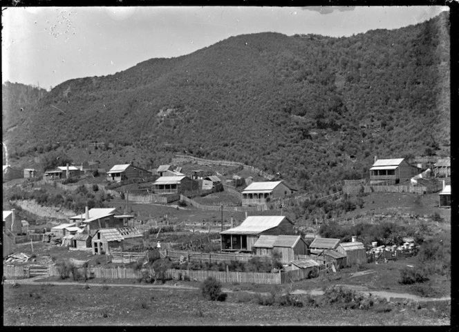 Houses at Mangapehi, 1920.