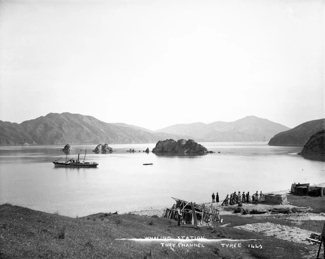 Whaling station, Tory Channel