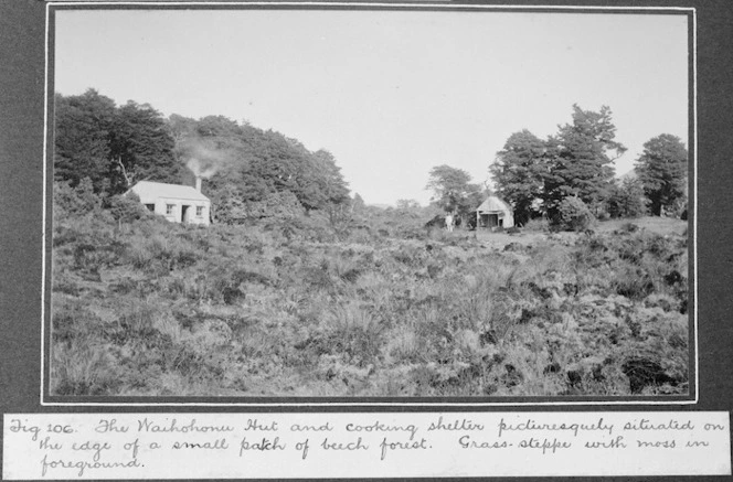 Waihohonu Hut and cooking shelter, set amongst beech forest and mossy tussock, Tongariro National Park