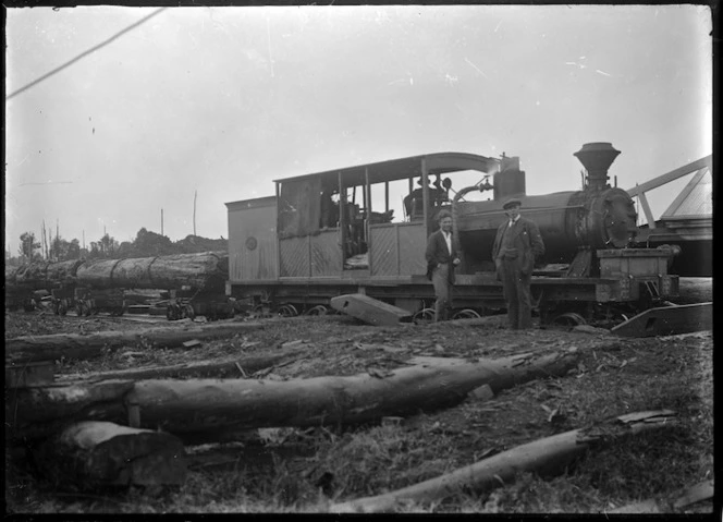 Price 16-wheeler steam locomotive with a load of logs.