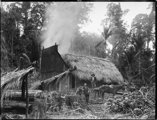 Men and a horse at a timber camp, North Auckland