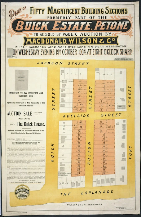Plan of fifty magnificent building sections, formerly part of the Buick estate, Petone