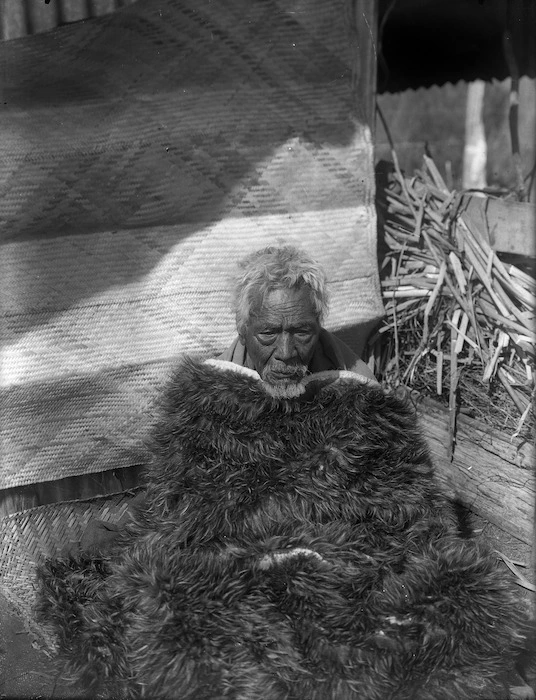 Elderly man wearing a Maori feather cloak, Whare Kauri, Tahuna