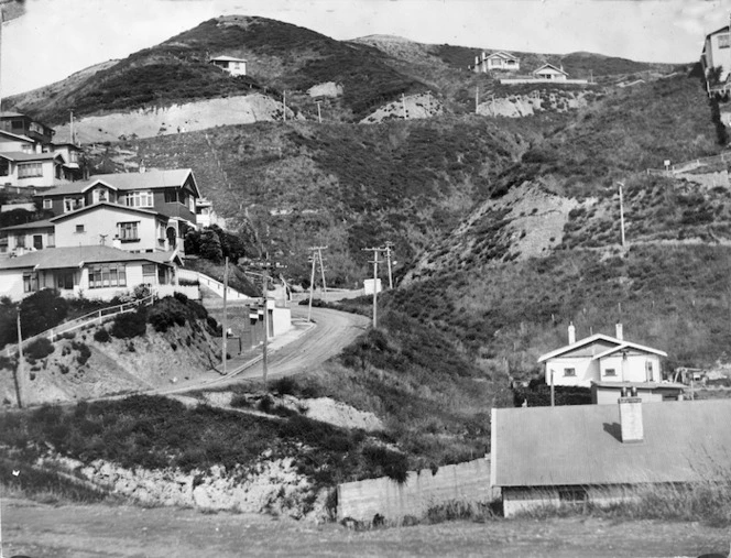 Suburb of Mornington, Wellington