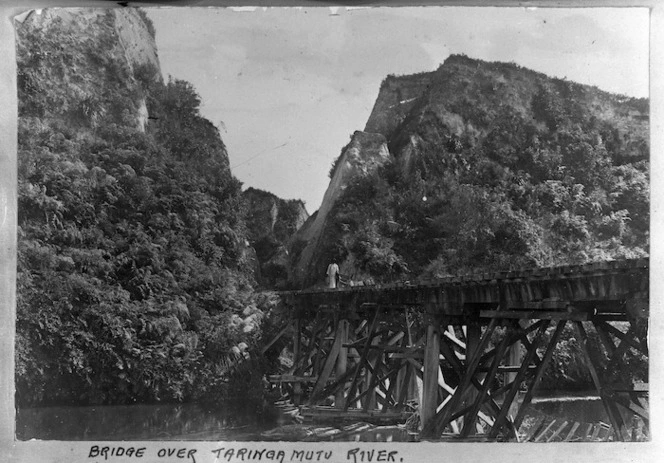 Bridge over the Taringamotu River