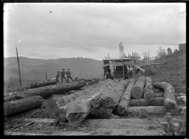 Logs cut by staff of Ellis and Burnand, Ongarue