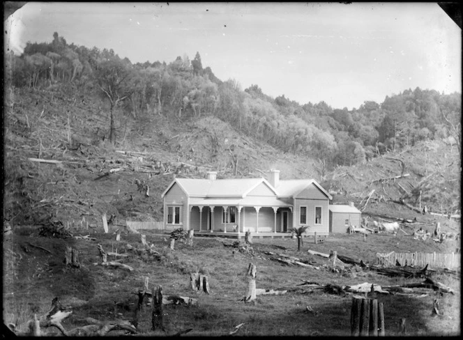 House on a site cleared of trees