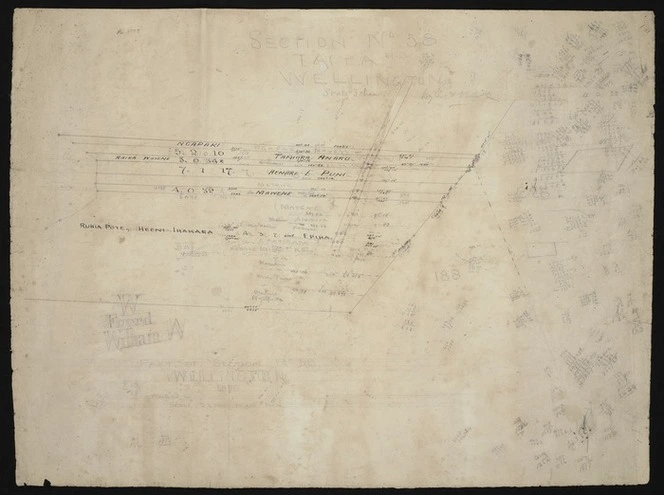 Wyles & Buck :Section no. 58, Taita, Wellington [ms map]. 1876.
