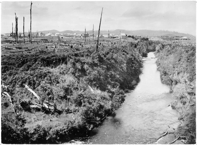 Stream and tree stumps, Eketahuna