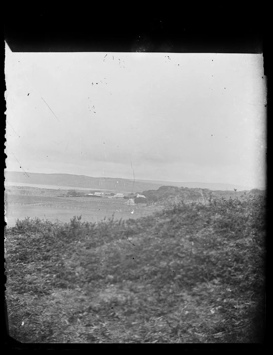 Scene with houses in the distance, Chatham Islands