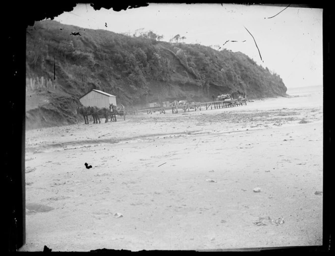 Team of horses and a jetty, Chatham Islands