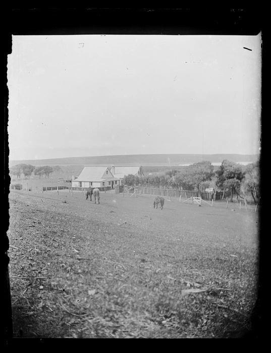 Scene with houses and trees, Chatham Islands