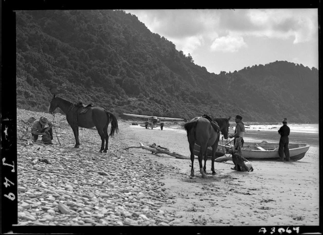 Scene at Jackson's Bay beach, Westland