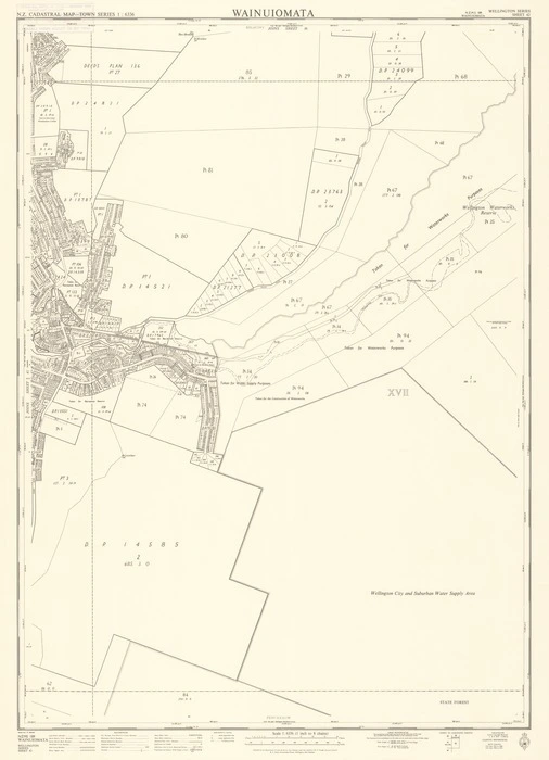 Wainuiomata [electronic resource] / drawn by L.N. Astwood.