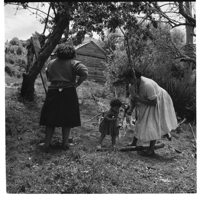 Scenes of rural life along the Whanganui River, Pipiriki