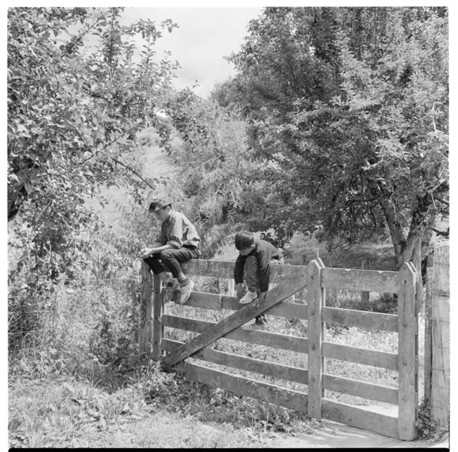 Scenes of rural life along the Whanganui River, Jerusalem