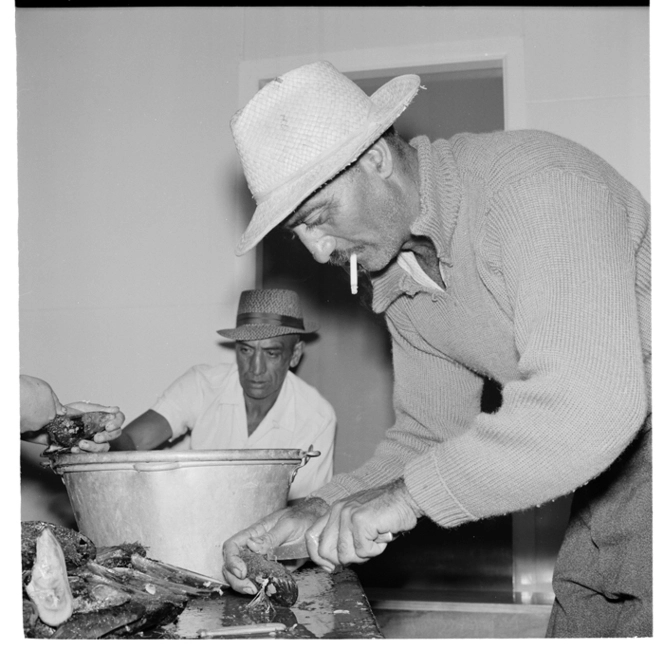 Te Kaha, tangi - food preparation and people around the coffin