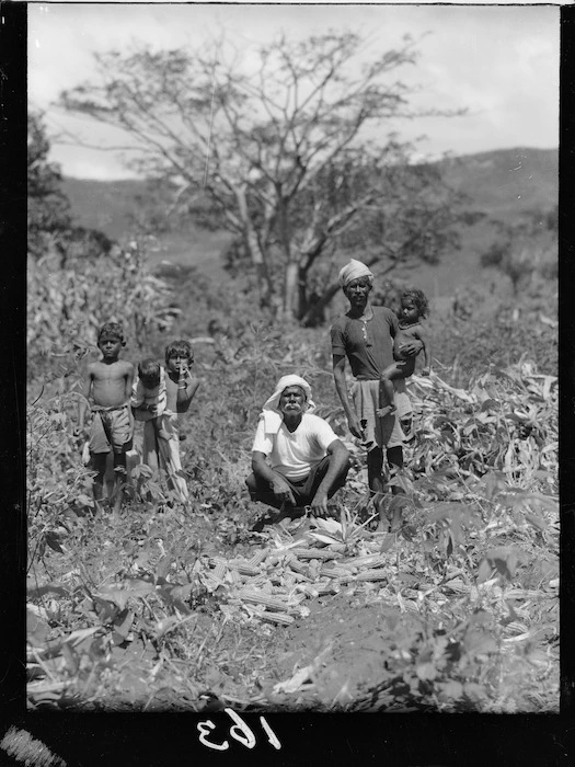 Fijian Indian farmers on their plantation, Fiji