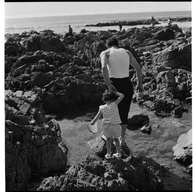 Rock pools in the Evans Bay area