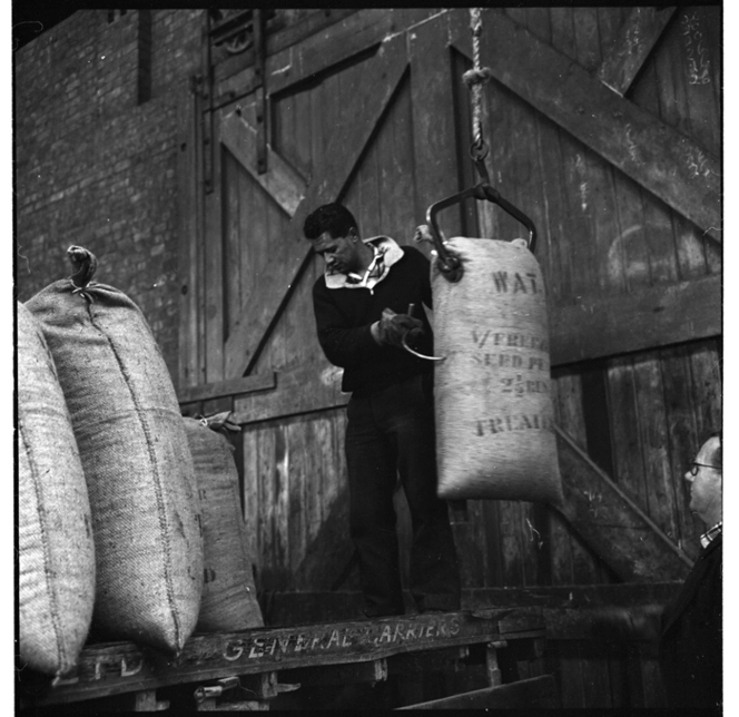 Loading seed peas, Wellington wharves